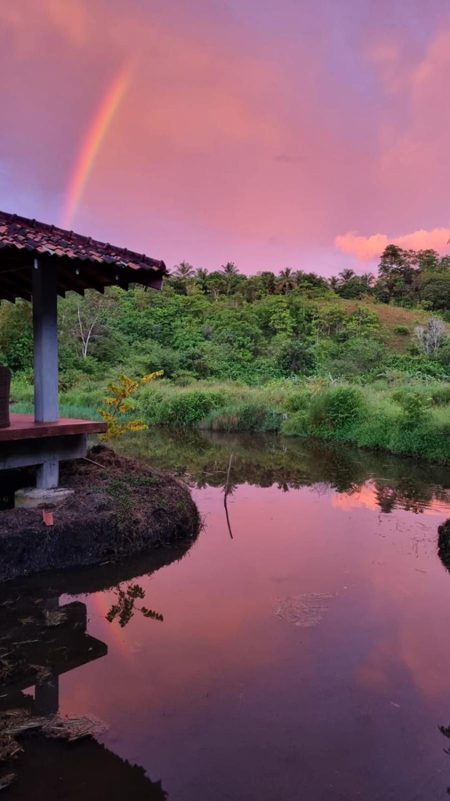 Laluna Eco Resort Pvt Ltd Beruwala Buitenkant foto